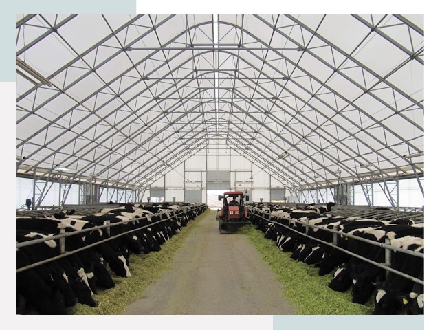 Тентовые коровники в Старой Руссе от 611 руб. - Надежно и доступно