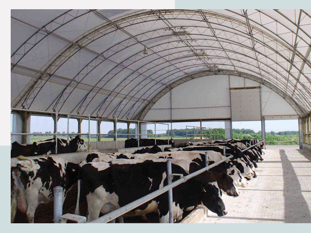 Тентовые коровники в Старой Руссе